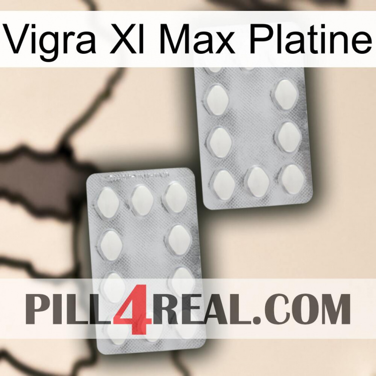 Vigra Xl Max Platinum 17